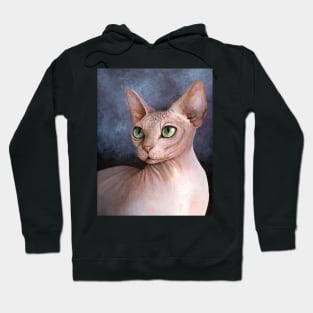 Cat 578 Sphynx cat Hoodie